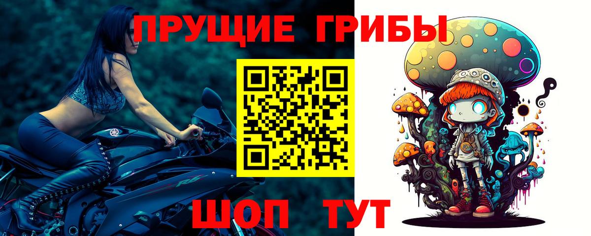 Галлюциногенные грибы GOLDEN TEACHER  Вход с VPN  Салехард 